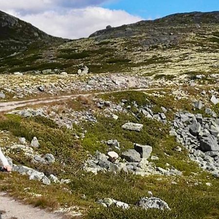 Mountain Retreat In Uvdal Wifi Sauna Eksteriør bilde
