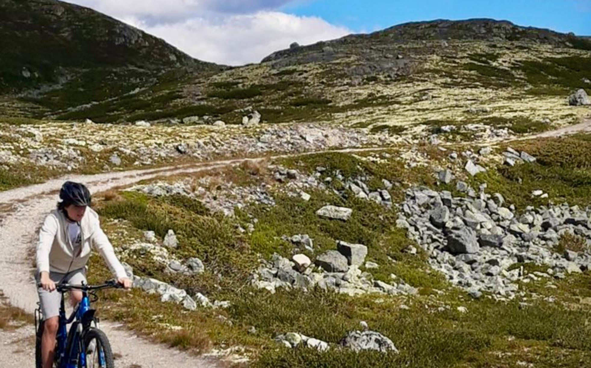 Mountain Retreat In Uvdal Wifi Sauna Eksteriør bilde